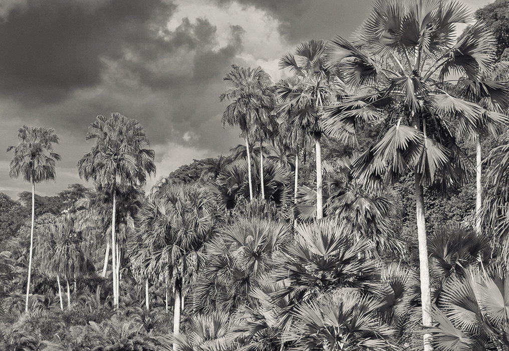  - Portfolio - Ricarda Niks - Fotografie